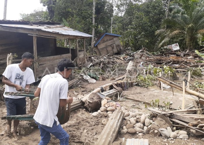 Peluang Usaha di Kikim Timur Kab. Lahat, Sumatera Selatan Potensi Ekonomi dan Sektor Unggulan