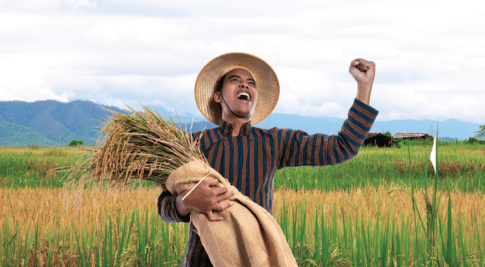 Peluang Usaha di Taman Sari Kota Pangkal Pinang, Kepulauan Bangka Belitung Potensi Menjanjikan