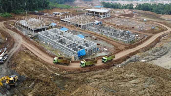 Peluang Bisnis di Bahodopi Kab. Morowali, Sulawesi Tengah Potensi dan Tantangan