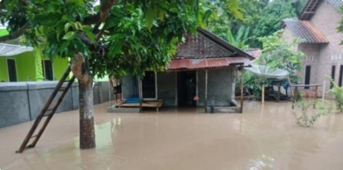 Peluang Usaha di Marga Punduh Kab. Pesawaran, Lampung  Membangun Bisnis di Bumi Rafflesia