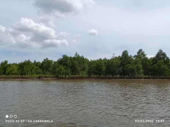 Peluang Bisnis di Padang Cermin, Pesawaran Menjelajahi Potensi Ekonomi Lampung