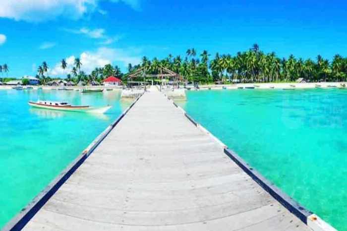 Peluang bisnis di Tanimbar Selatan Kab. Kepulauan Tanimbar, Maluku