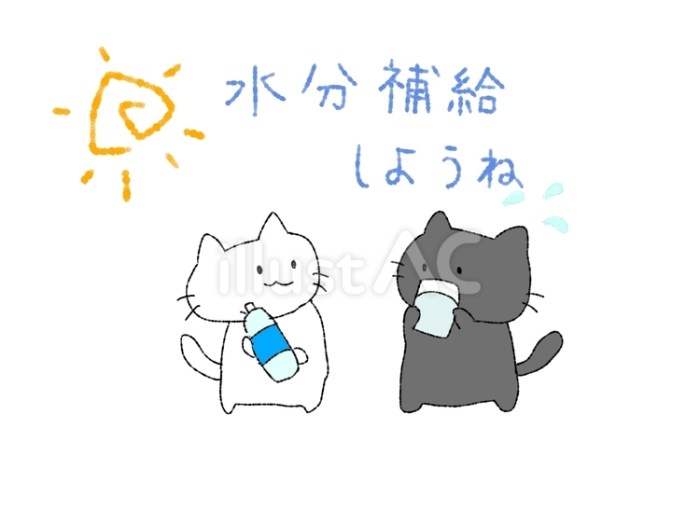 Log In Shopee Affiliate untuk Kesuksesan Pemasaran