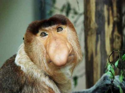 Peluang Bisnis Yang Menjanjikan
