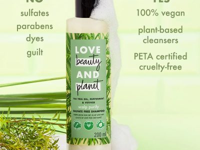 Peluang Usaha Di Rumah