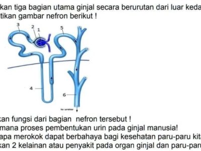 Affiliate Tiktok di Cikembar, Sukabumi