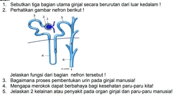 Affiliate Tiktok di Cikembar, Sukabumi untuk Bisnis Lokal