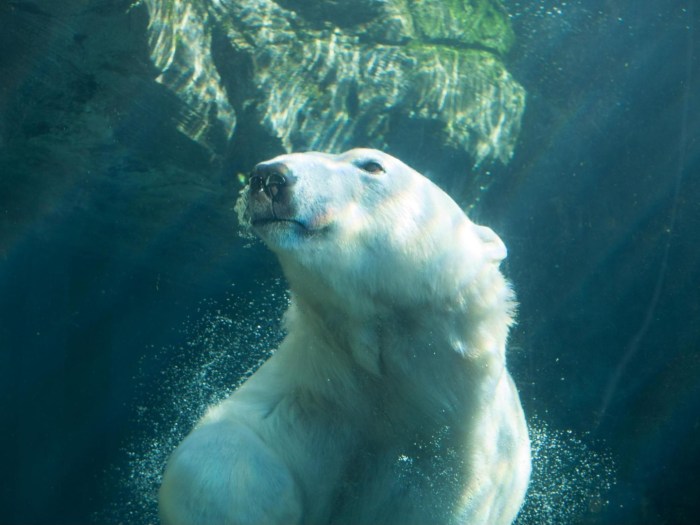Blogger di Tambaksari, Kota Surabaya Membangun Komunitas