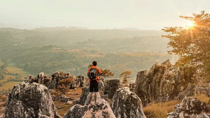Cek SEO Website di Padalarang, Bandung Barat untuk Bisnis