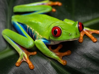 Blogor Com di Lubuklinggau Utara I, Kota Lubuklinggau