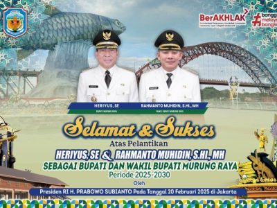 Jasa Pembuatan Website di Seribu Riam, Murung Raya