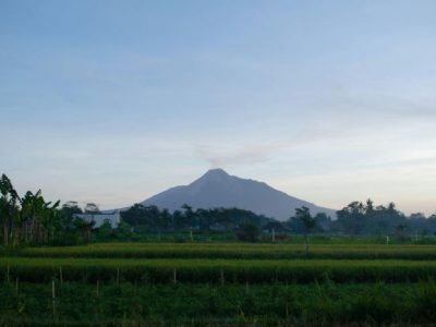 Jasa SEO di Pakem, Sleman