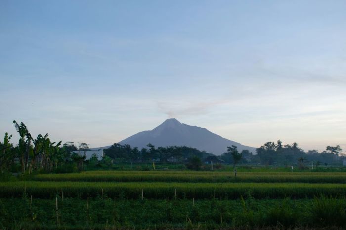 Jasa SEO di Pakem, Sleman Meningkatkan Bisnis Lokal