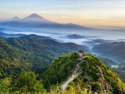 Jasa SEO di Girimulyo, Kulon Progo
