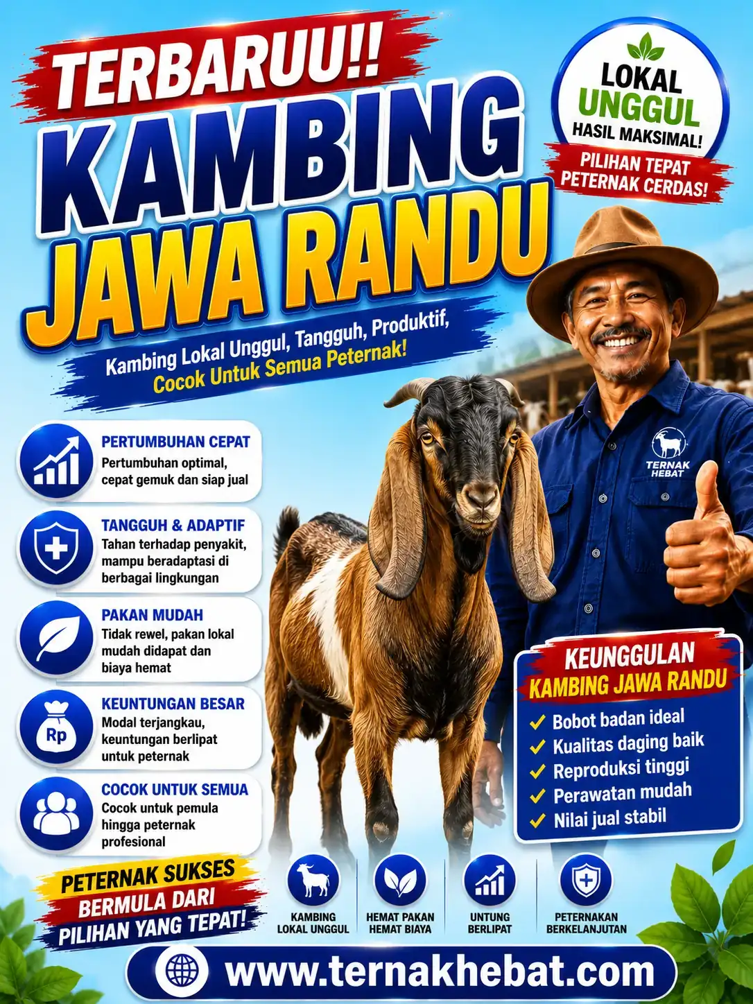 Backlink di Medan Area, Kota Medan