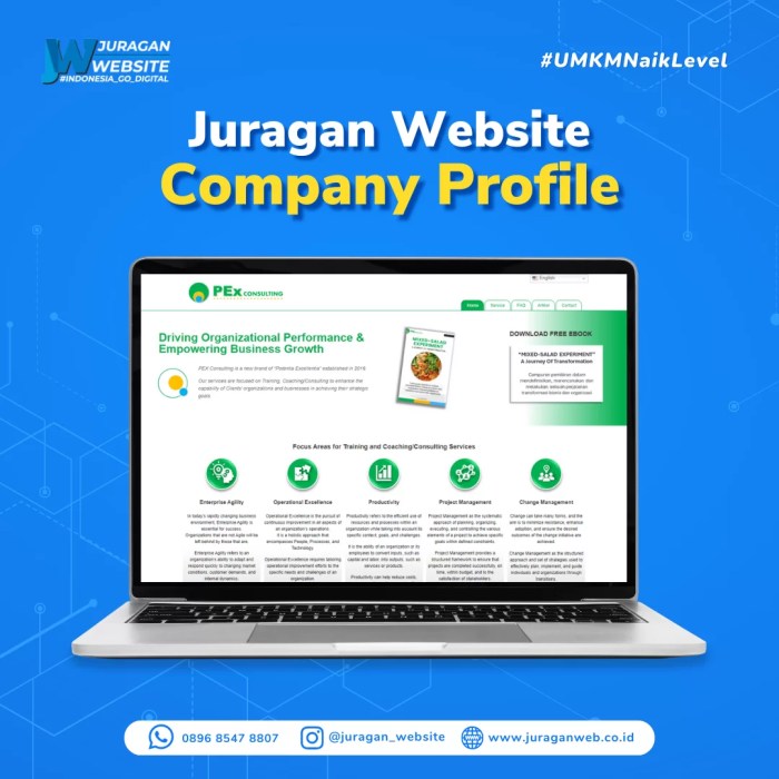 Desain Web di Peterongan, Jombang untuk Bisnis Modern