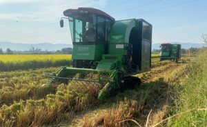 Desain Web di Ledokombo, Jember untuk Usaha Kecil