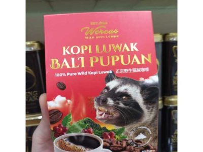 Affiliate Tiktok di Rawamerta, Karawang