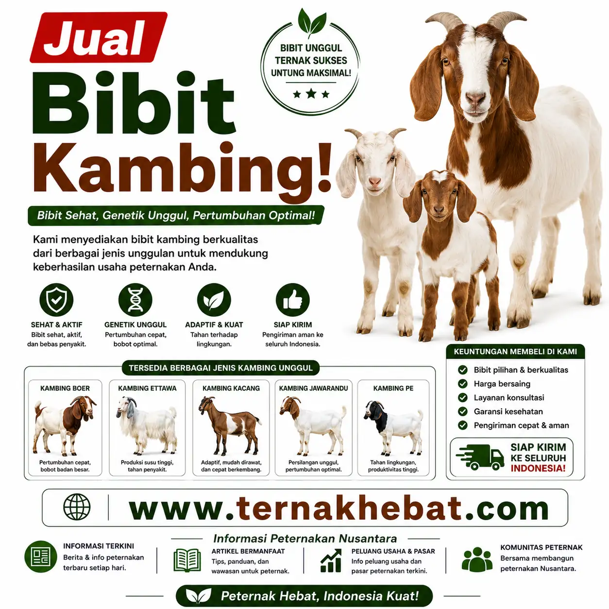 Backlink di Panyabungan Selatan, Mandailing Natal