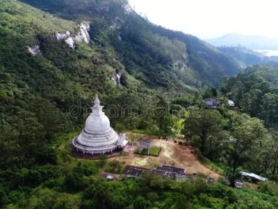 Affiliate Tiktok di Parung, Bogor