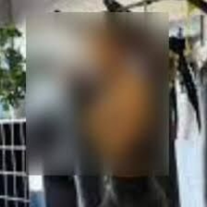 Jasa Pembuatan Website di Arut Selatan, Kotawaringin Barat