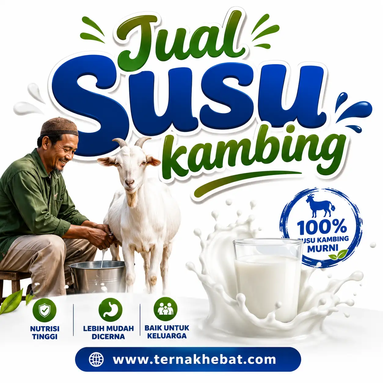 Jasa Website