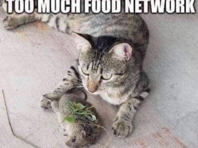 Dan Peluang Usaha