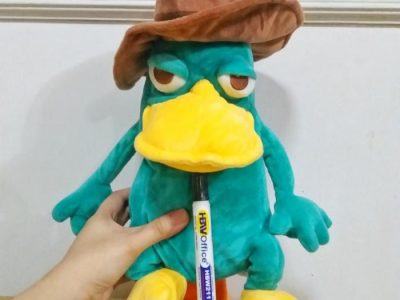 Blogger Pribadi di Rogojampi, Banyuwangi