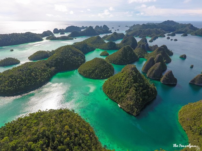 Affiliate Tiktok di Telukjambe Timur, Karawang Menjanjikan