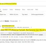 Jasa SEO di Teweh Tengah, Barito Utara