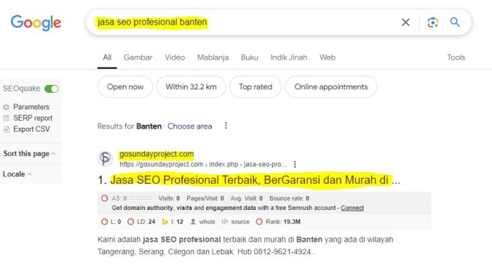 Jasa SEO di Teweh Tengah, Barito Utara untuk Bisnis Anda