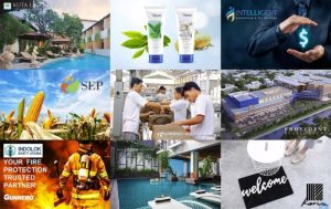 Jasa Pembuatan Website di Montallat, Barito Utara Terbaik