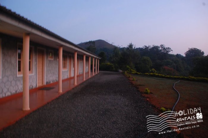 Affiliate Tiktok di Kalumpang, Hulu Sungai Selatan Menjanjikan