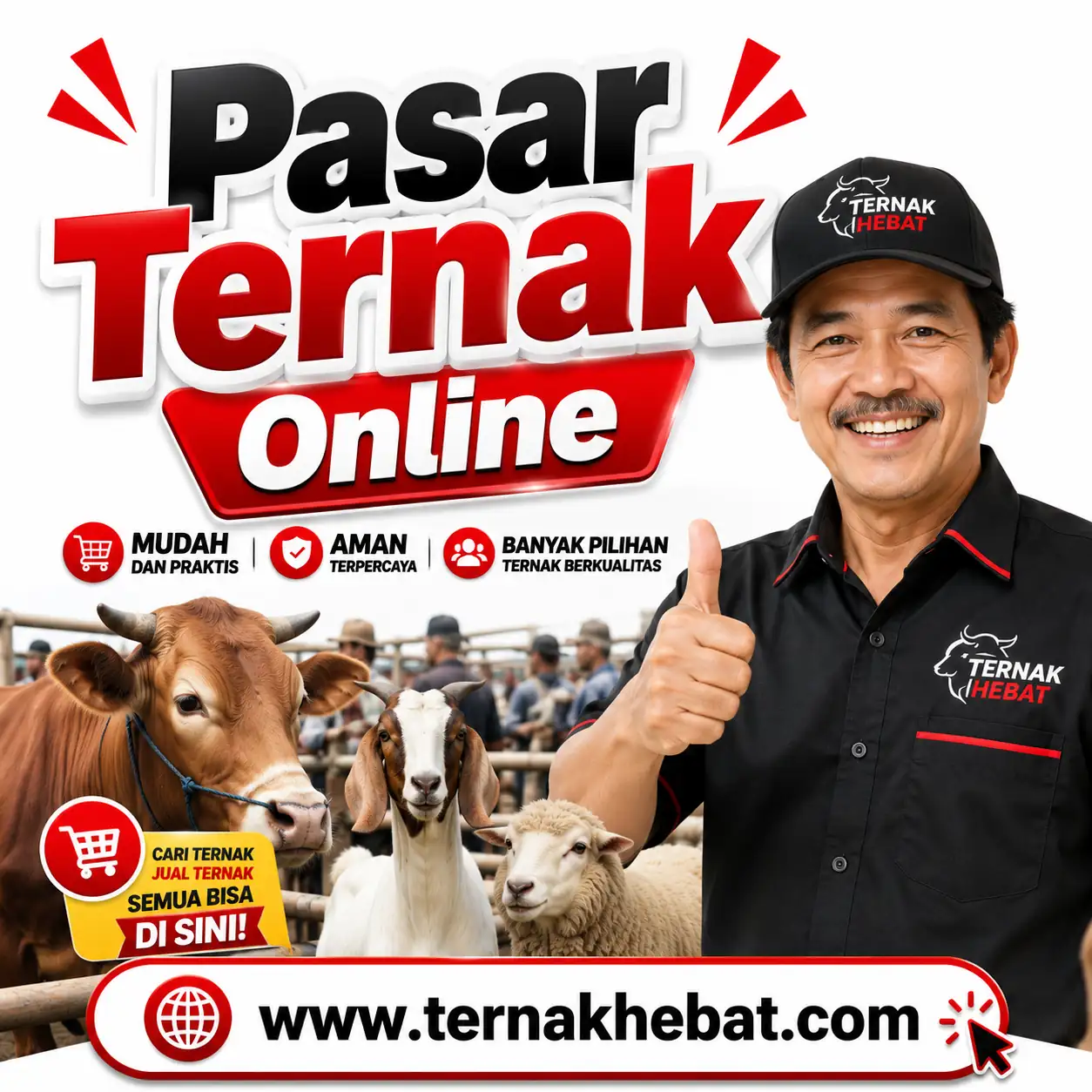 Jasa SEO Bulanan