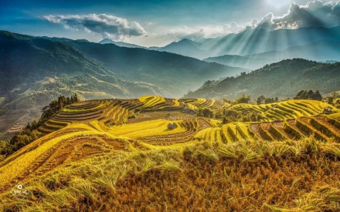 Pengembangan Web Mendorong Inovasi Bisnis Modern