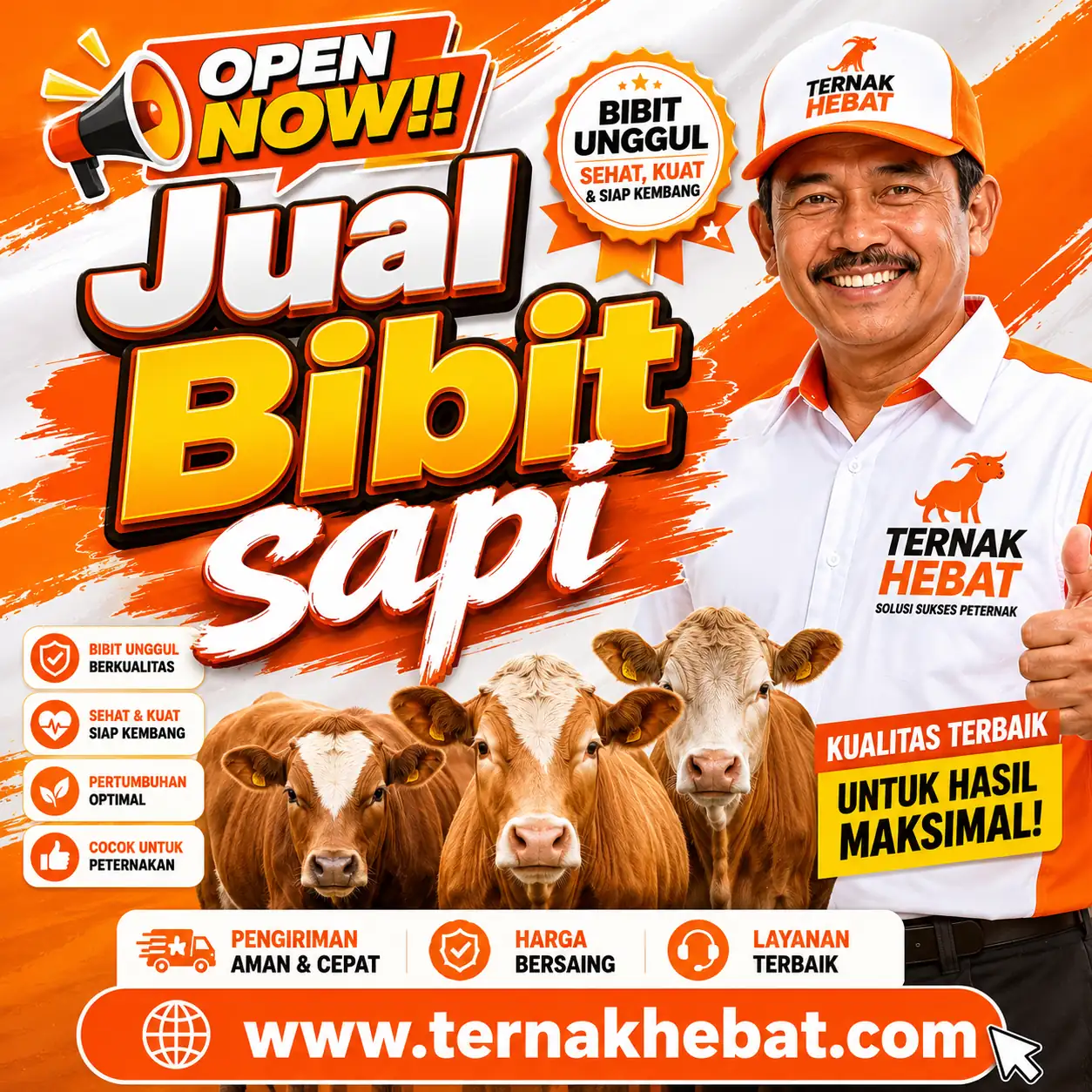 Cek Backlink Web