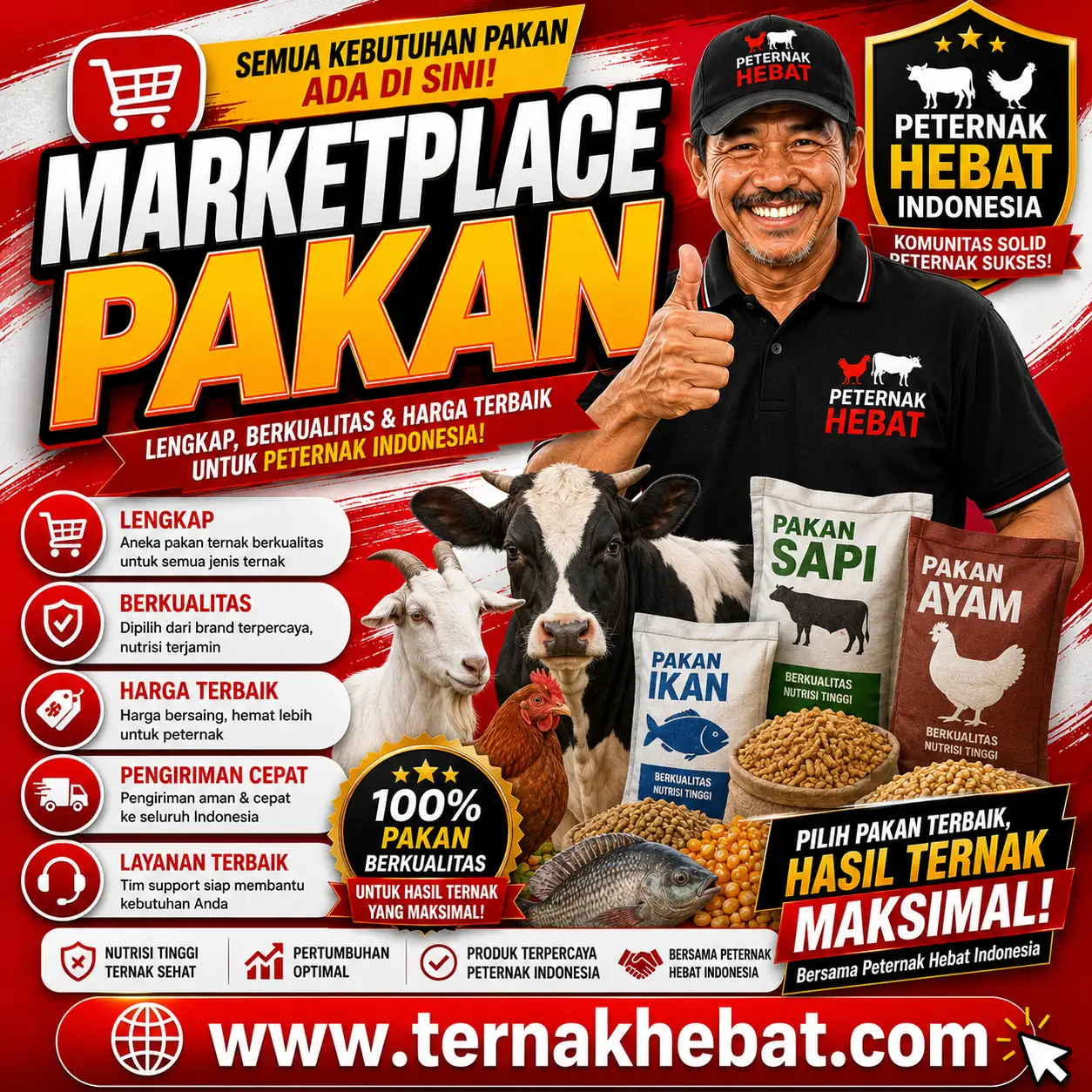 Harga Ayam Hari Ini