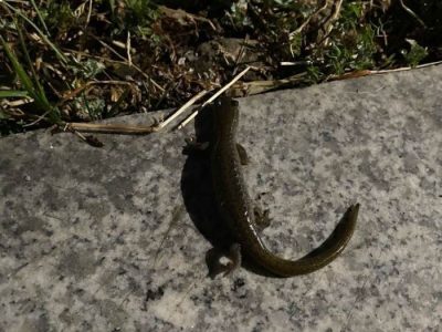 Pengertian Manajemen Bisnis