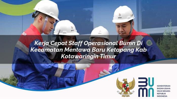 Jasa Pembuatan Website di Mentawa Baru Ketapang Kotawaringin Timur