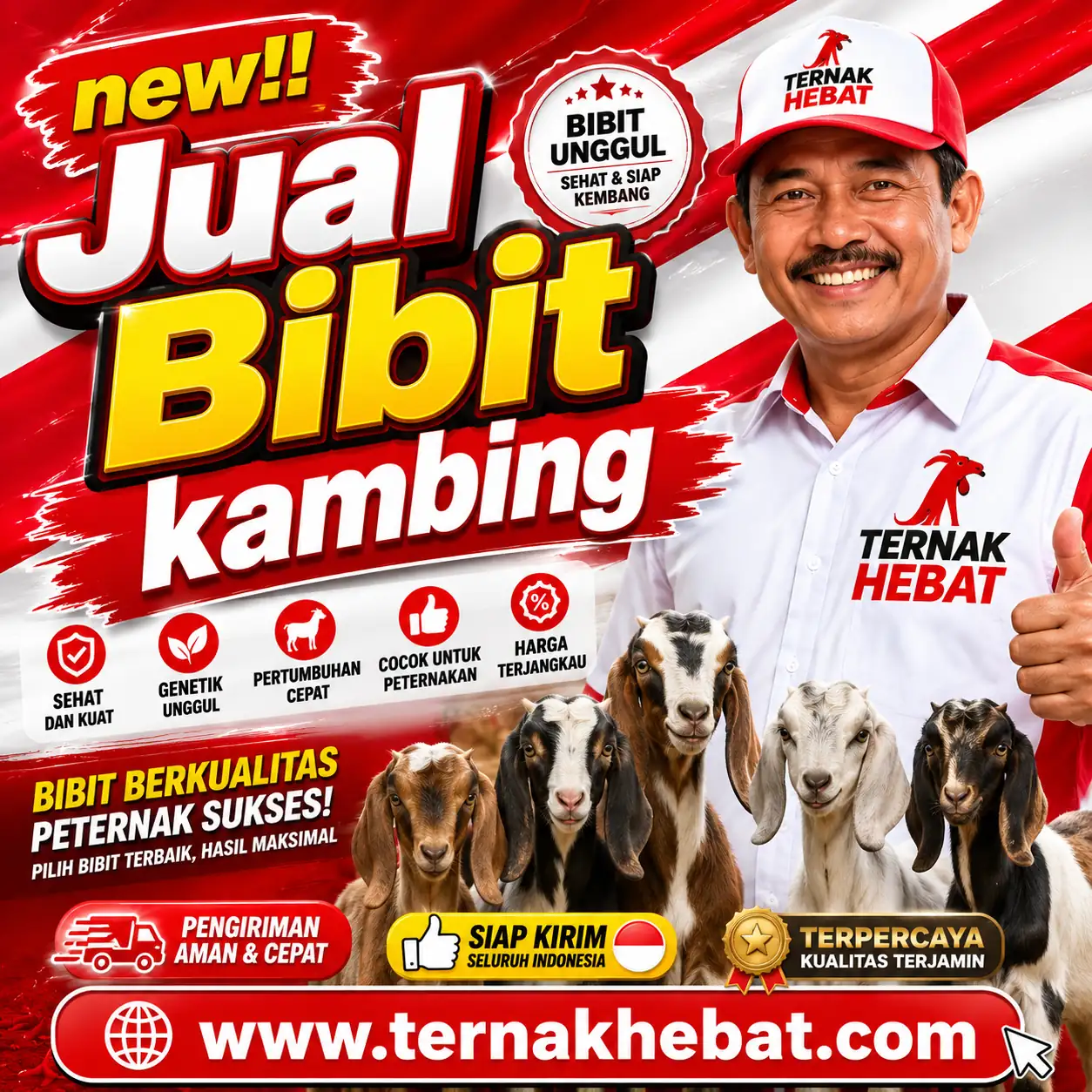 Contoh Blogging