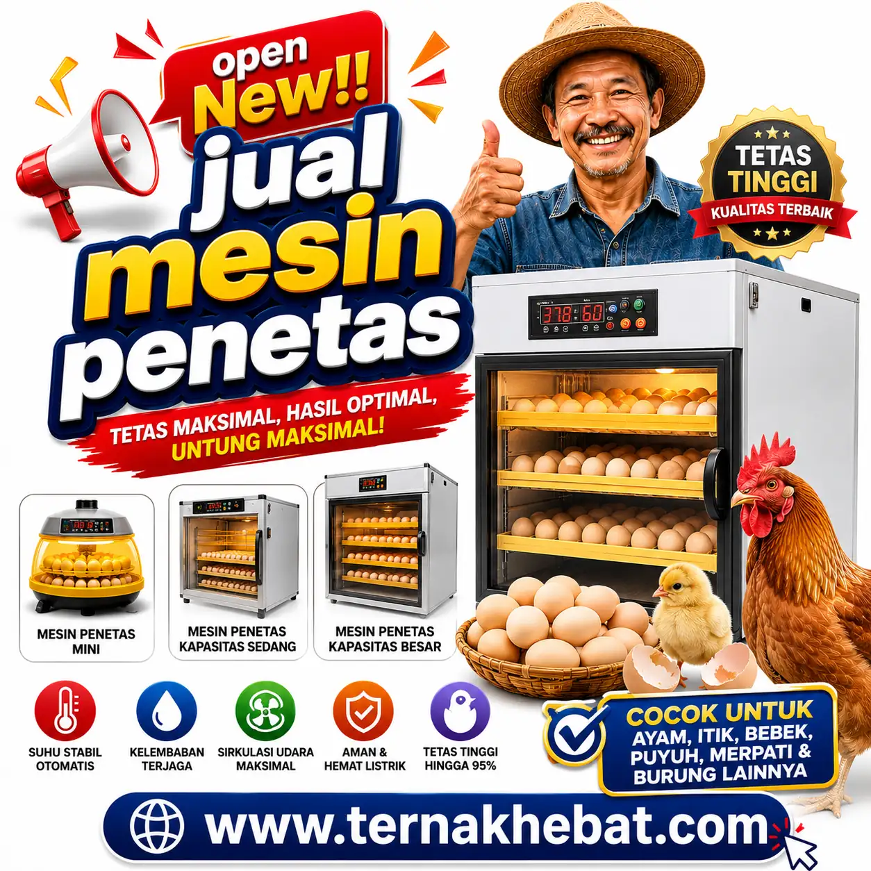 Harga Telur Ayam