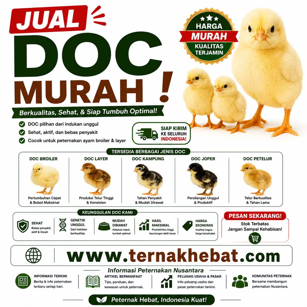 Cara Jadi Affiliator di Cibarusah, Bekasi dengan Mudah