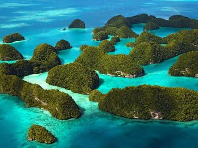 Jasa Pembuatan Website di Selat, Kapuas
