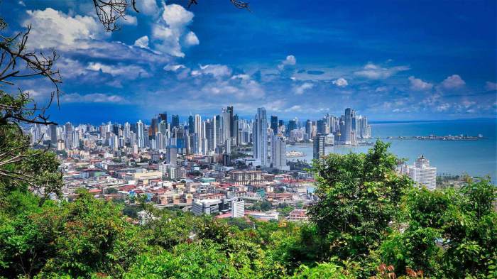 Menjadi Affiliate Shopee untuk Kesuksesan Digital
