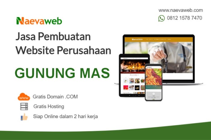 Jasa Pembuatan Website di Rungan, Gunung Mas untuk Bisnis