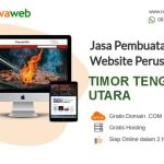 Jasa Pembuatan Website di Teweh Tengah, Barito Utara