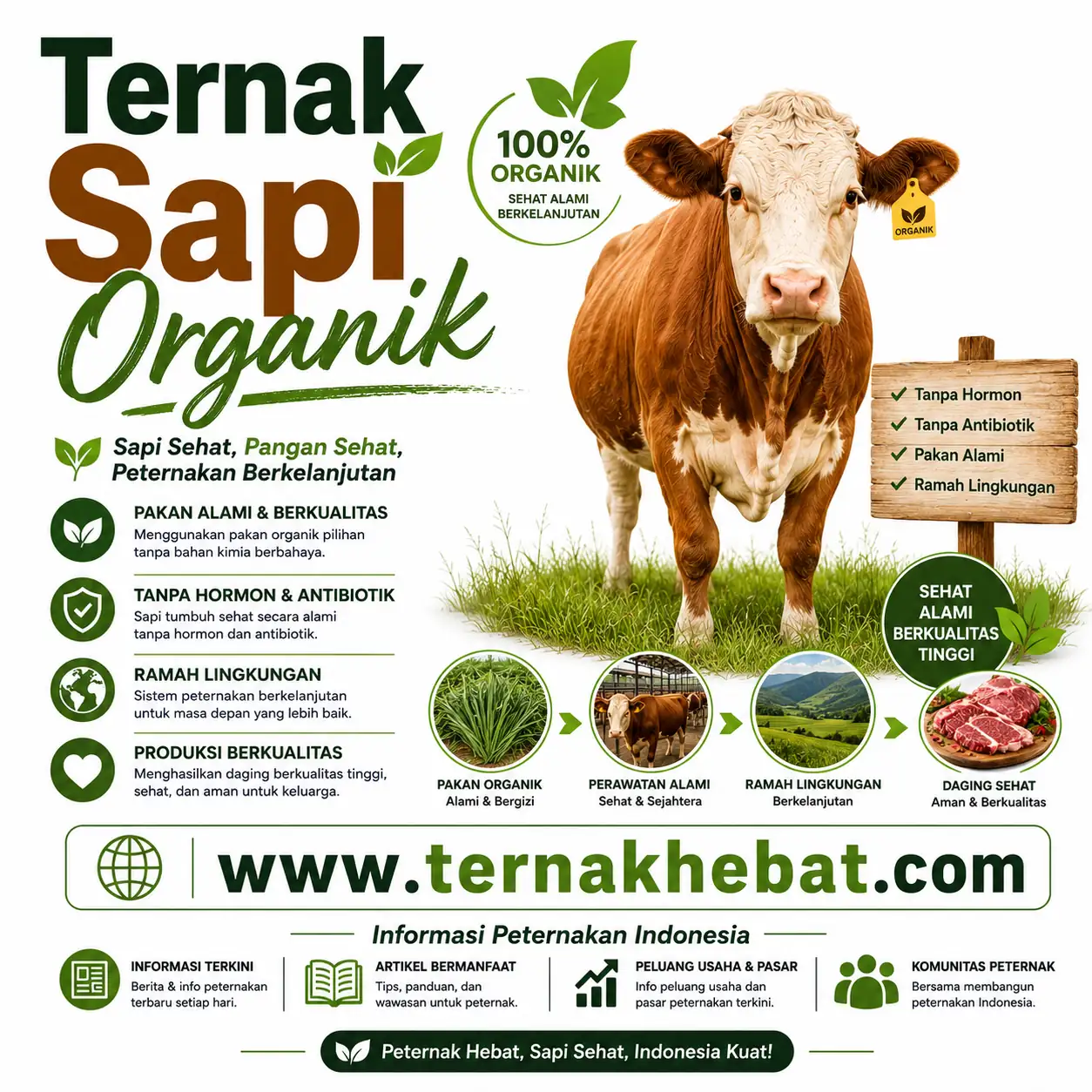 Startup Peternakan