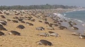 Lowongan Pekerjaan S1 Manajemen untuk Karir Cemerlang