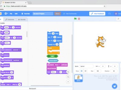 Affiliate Tiktok di Leuwiliang, Bogor
