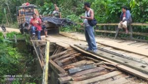 Jasa SEO di Patangkep Tutui, Barito Timur yang Berkualitas